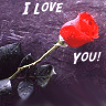 Do you love me??