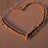 Lovve