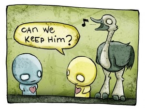 can we keep him?