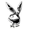 playboy bunny