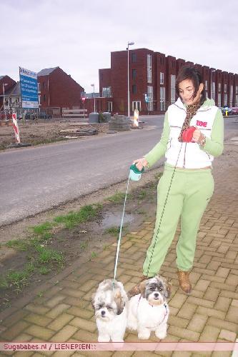 ick met stacey haar doggies