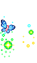 Vlinder!