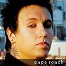 Jacoby Shaddix (Papa Roach)