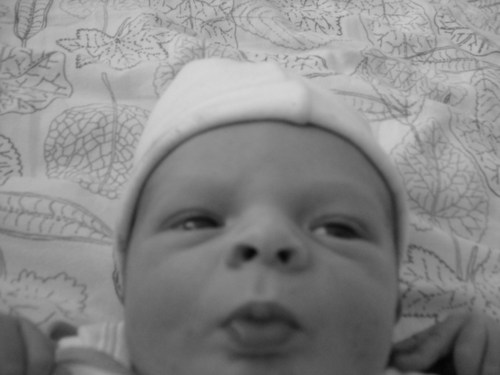 Finn Sow Sweety