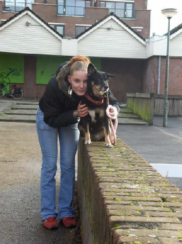 ike en me hondje