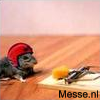 zOuW K uM NiE Na WiLlEn DoEN