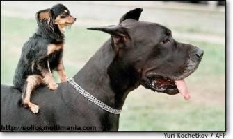 fUNNy