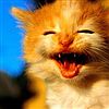 lachen is gezond!hihihi