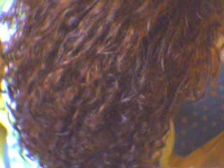 SILVERolive KRULHAAR haren die SILVERolive nu HEEFT MOOI