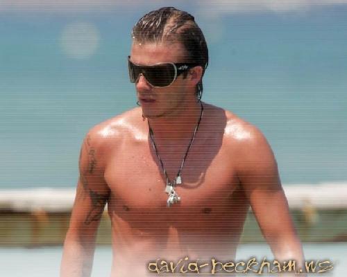 david !! hij is ook zooo knap