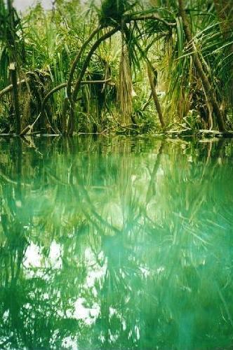 green water