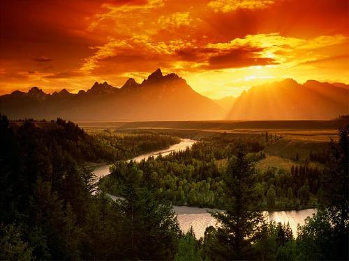 pure nature